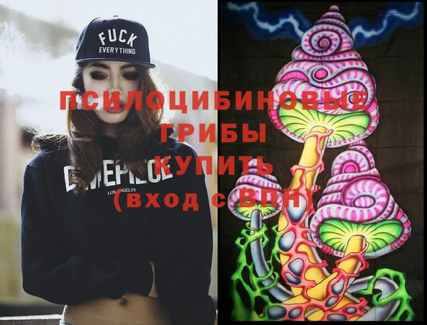 ПСИЛОЦИБИНОВЫЕ ГРИБЫ Алексин