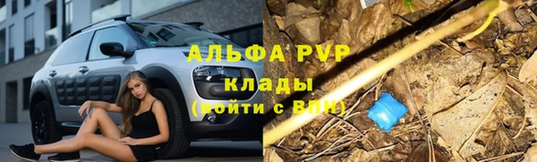 стафф Алзамай