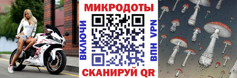 цены Волхов Галлюциногенные грибы ЛСД