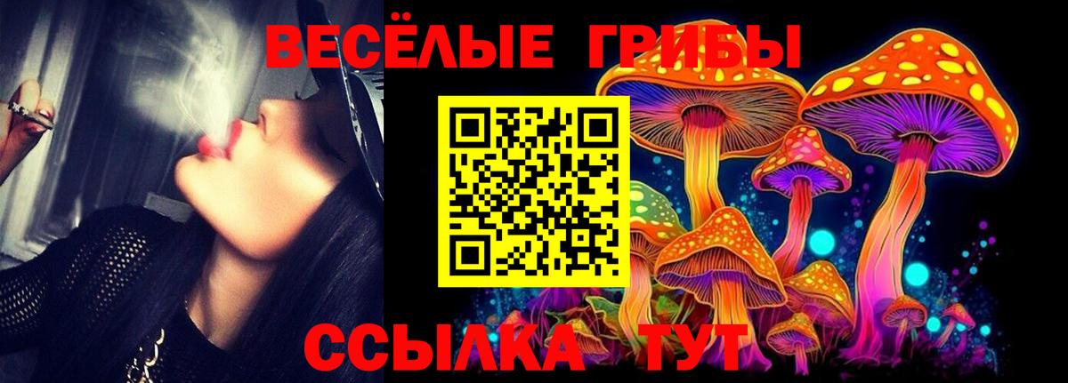 Галлюциногенные грибы Magic Shrooms  Вход с VPN  Волхов  Галлюциногенные грибы мицелий 