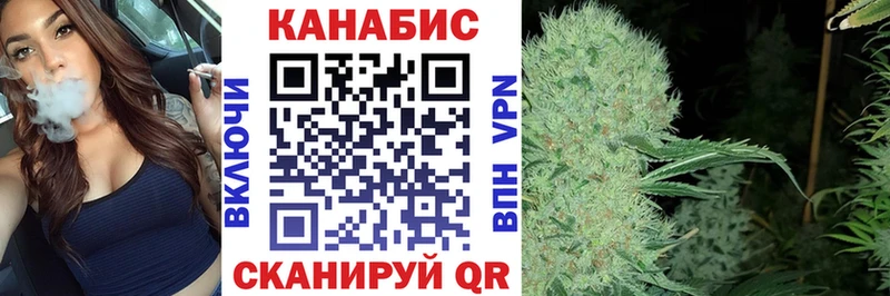 купить   Волхов  Канабис семена 